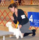 Skye 2012 Greenville Kennel Club